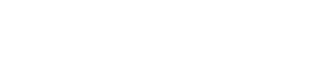 Nextflex Logo