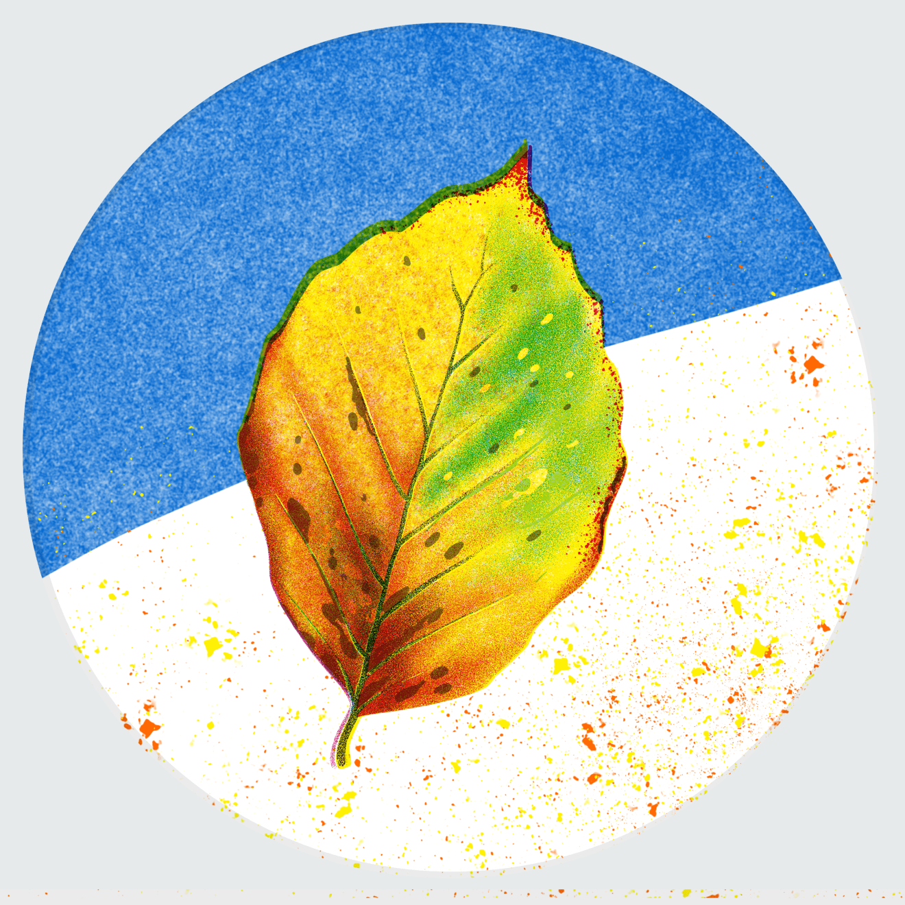 Leaf Illustration