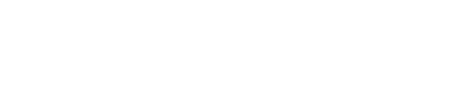 BIC Logo